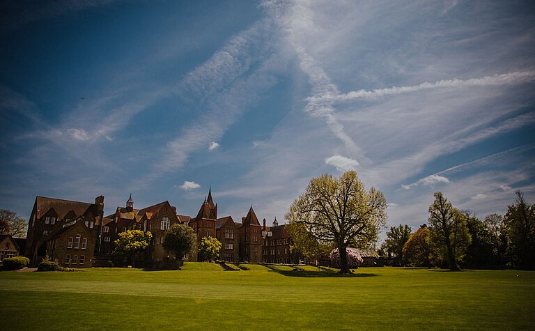 Our Grounds 