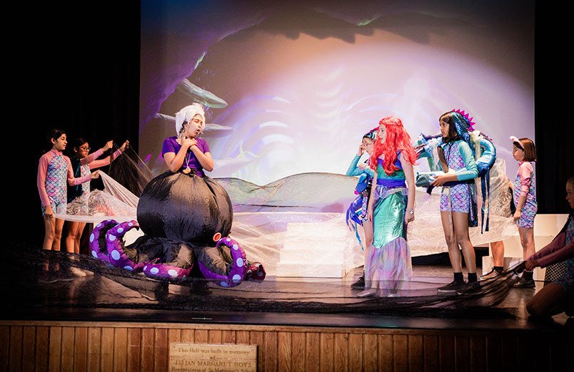 Little Mermaid Landscape 21 