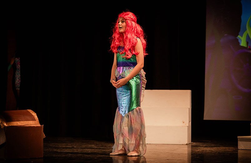 Little Mermaid Landscape 65 