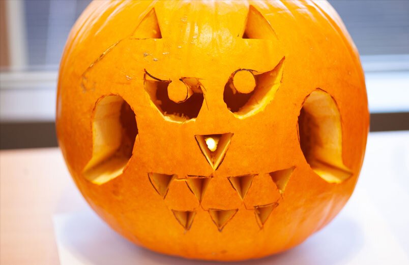 Pumpkin Gallery 3 